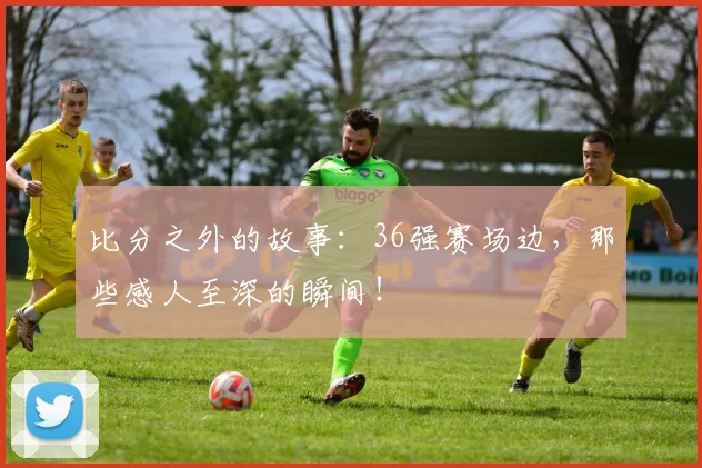 比分之外的故事：36强赛场边，那些感人至深的瞬间！
